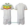 Conjunto (Camiseta+Pantalón Corto) Senegal Primera Equipación Mundial 2022 - Niño